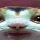 nyakoh