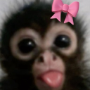 avatar 𝐸𝓂𝒾𝓁𝓊’