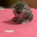 smileitsanarchy