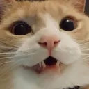 crunchpuff