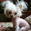 hairpinbby