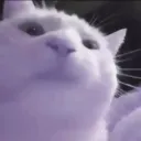 0o_.