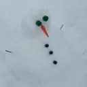 survivtuber