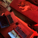 avatar Mohammad Alizadeh