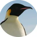 yaythomas