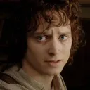 frodo098