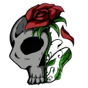 morbidlymorose