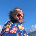 iambasicallyhim