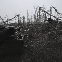 avatar [O B S E R V E R]