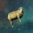 spacesheeep's Avatar