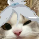 kandlex