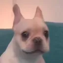 10pie