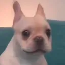 10pie
