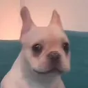 10pie