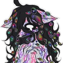 chaotictessa