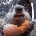 avatar Patryk Wizjoner