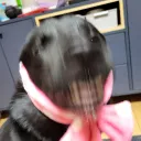 saegaseum_