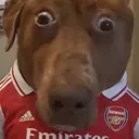 memekelarteta