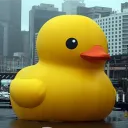 _p4t0