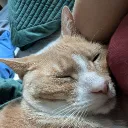 kipzi