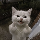 Discord Avatar
