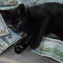 linkoficial.