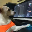 cralo__ avatar