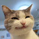 avatar Lecluse Cabernet