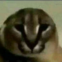 avatar-437304081720016898