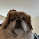 rolandthegod
