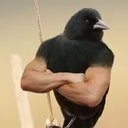 calebbb1