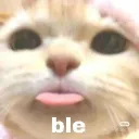 shaoshui