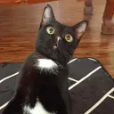 noonegoodasurmom