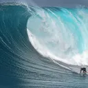 bluewavetrading