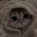 avatar ! 𝓐𝓷𝓪𝓹𝓮𝓷𝓸