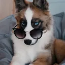 linxthegoat