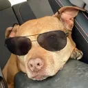 nap90