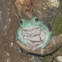 avatar Señorita_Natalia