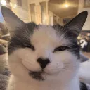 czaxi