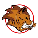 bigboartony
