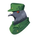 bigdove.