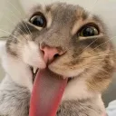 master.sussy.baka