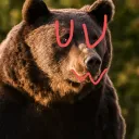 afriendlybear