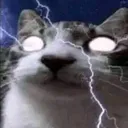 soykogy