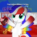 yugoslavpony25