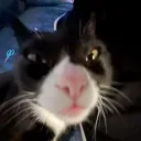 dougduul