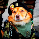 Civitai profile picture for @travel
