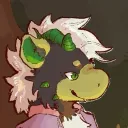 whoopsiecoochin