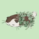 sunshinedozing