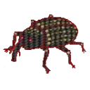 seeuuta